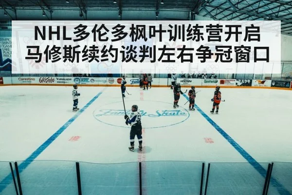 ice hockey arena game