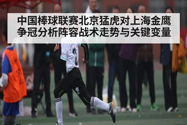 中国棒球联赛北京猛虎对上海金鹰争冠分析阵容战术走势与关键变量